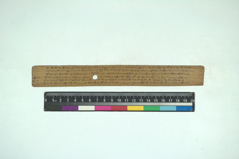 JAI_SVU_TRP_5423_3969