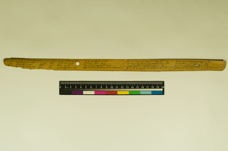 JAI_IFP_PDY_COLL_3_RE_10935_0733