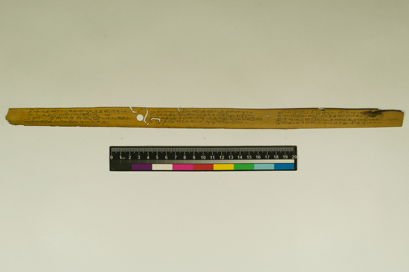 JAI_IFP_PDY_COLL_3_RE_10935_0772