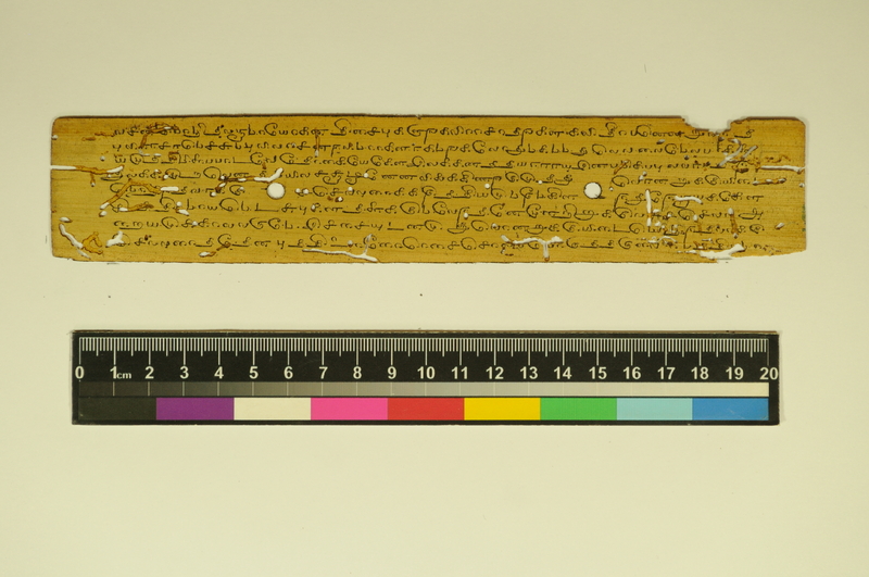 MTK_IFP_PDY_COLL_1_RE_33705_056