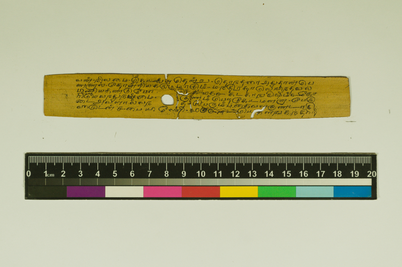 SPS_IFP_PDY_COLL_2_RE18679_0338