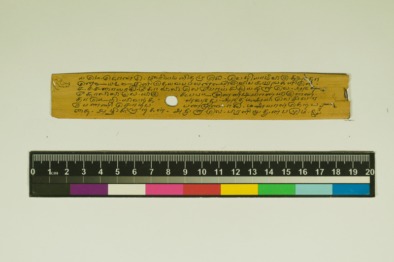 SPS_IFP_PDY_COLL_2_RE18679_0380