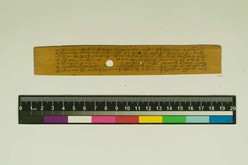 SPS_IFP_PDY_COLL_2_RE18679_0390