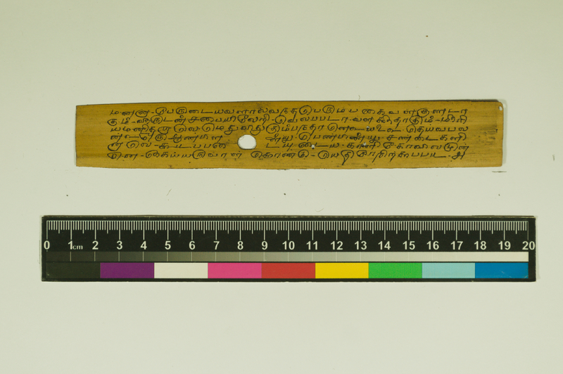 SPS_IFP_PDY_COLL_2_RE18679_0408