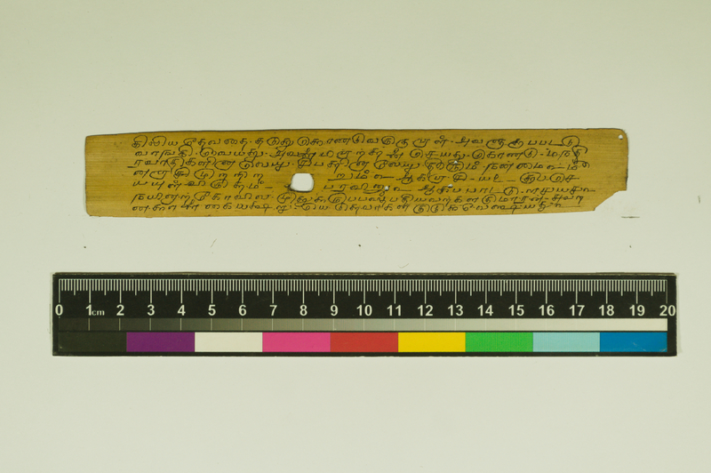 SPS_IFP_PDY_COLL_2_RE18679_0410