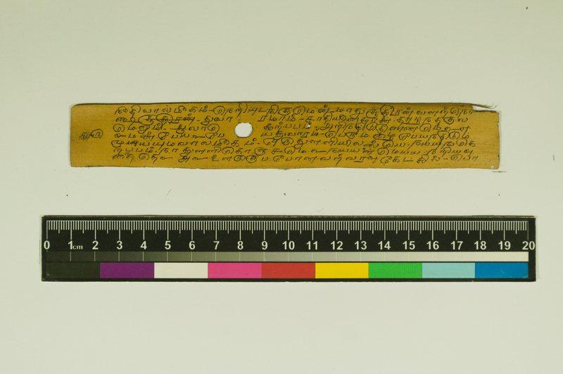 SPS_IFP_PDY_COLL_2_RE18679_0415