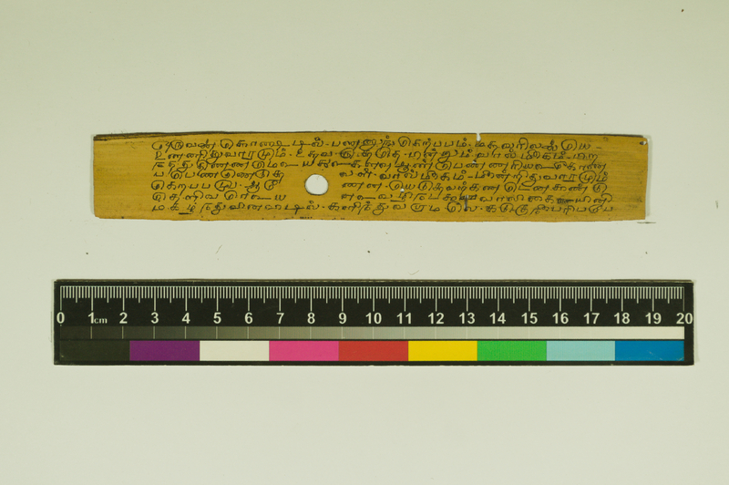 SPS_IFP_PDY_COLL_2_RE18679_0420