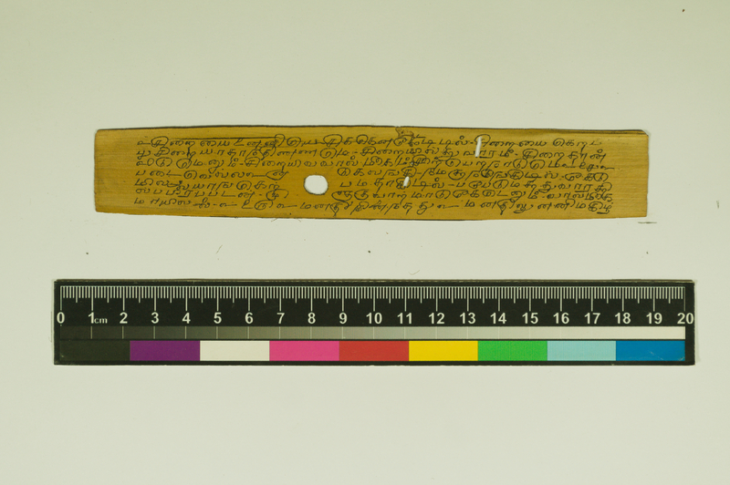 SPS_IFP_PDY_COLL_2_RE18679_0424