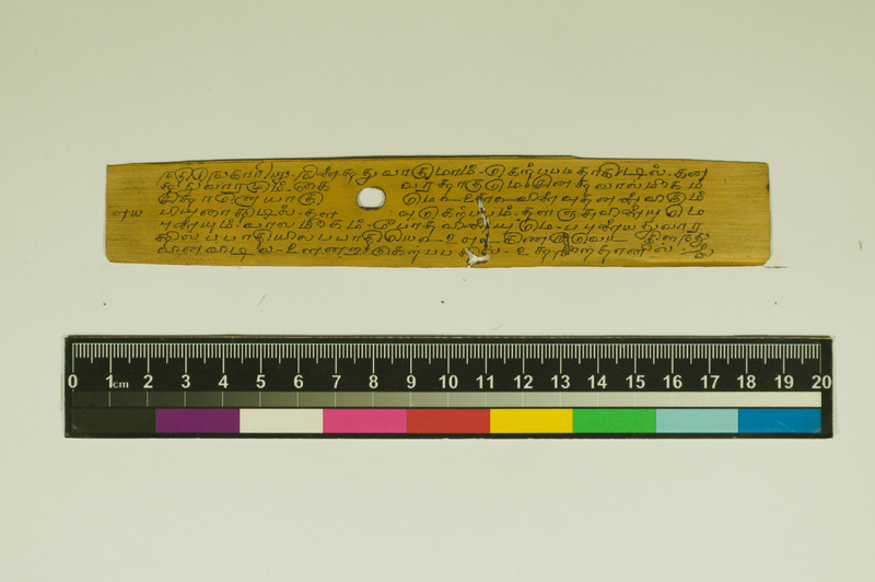 SPS_IFP_PDY_COLL_2_RE18679_0425