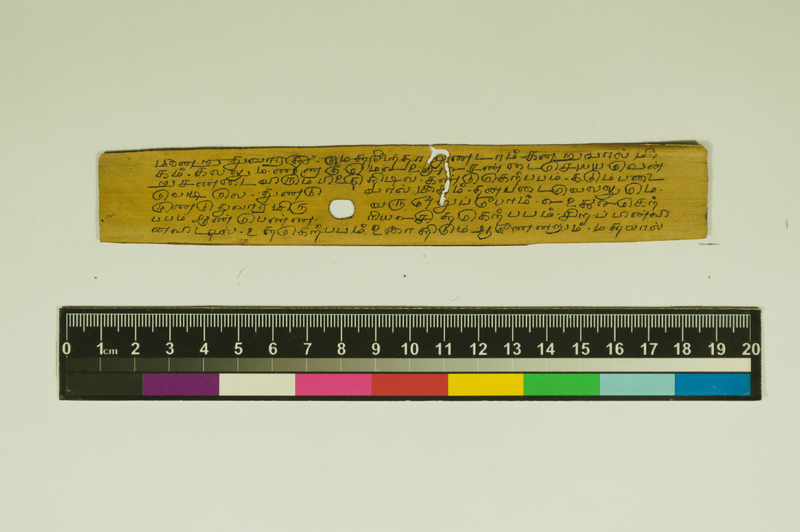 SPS_IFP_PDY_COLL_2_RE18679_0426