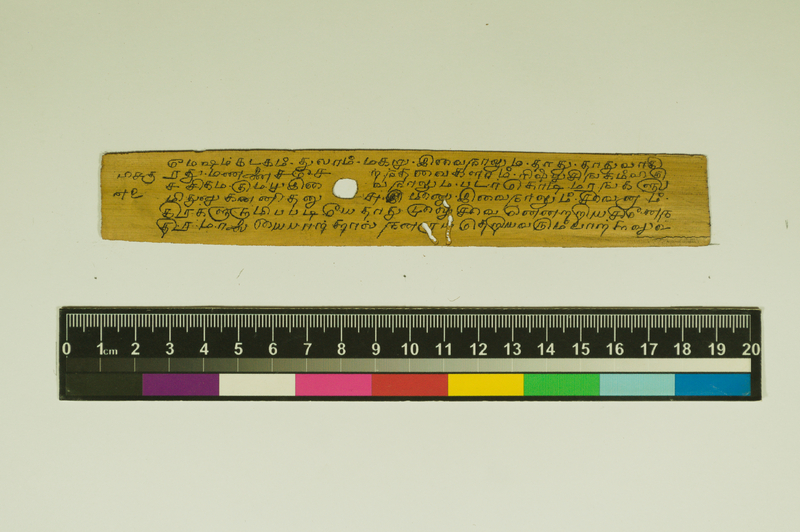 SPS_IFP_PDY_COLL_2_RE18679_0429