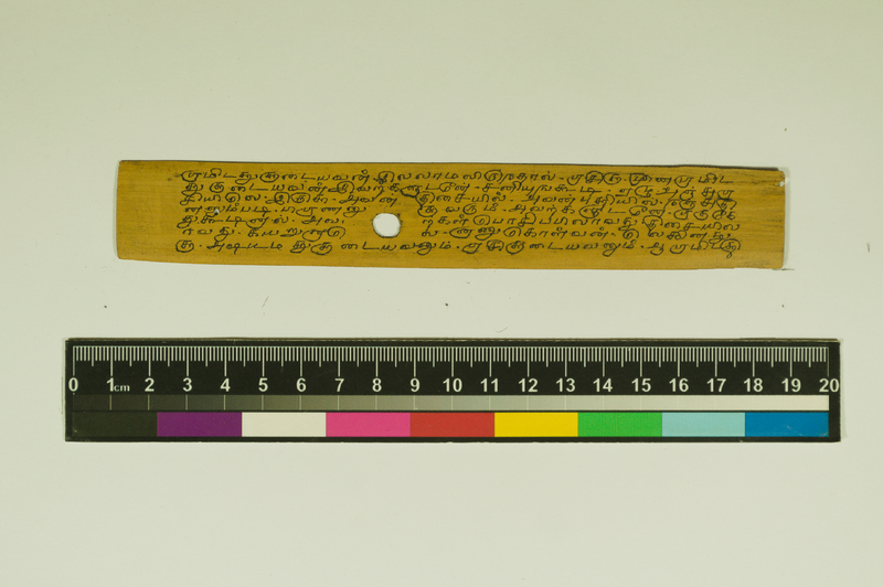 SPS_IFP_PDY_COLL_2_RE18679_0442