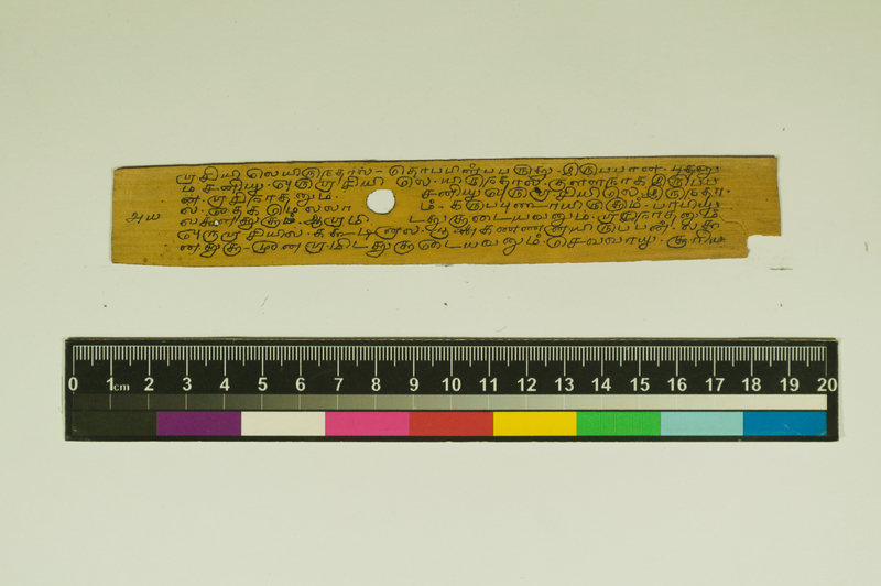 SPS_IFP_PDY_COLL_2_RE18679_0445