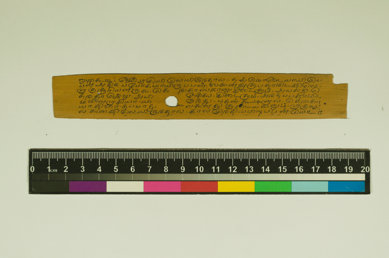 SPS_IFP_PDY_COLL_2_RE18679_0446