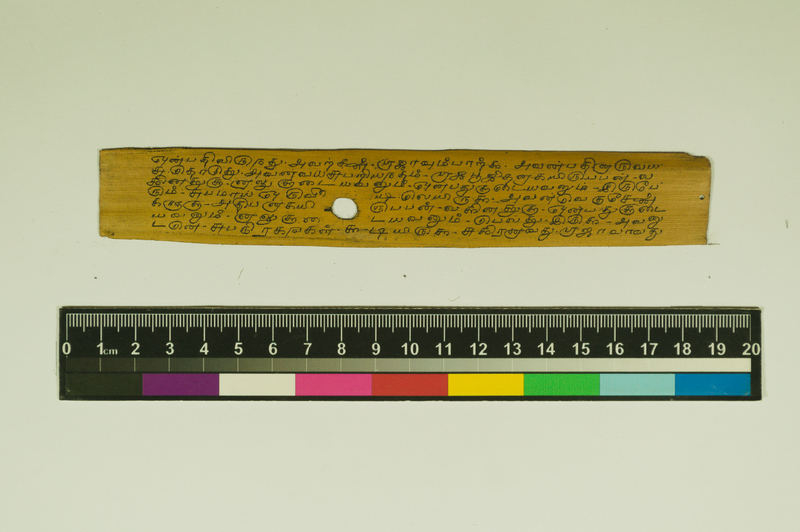 SPS_IFP_PDY_COLL_2_RE18679_0474