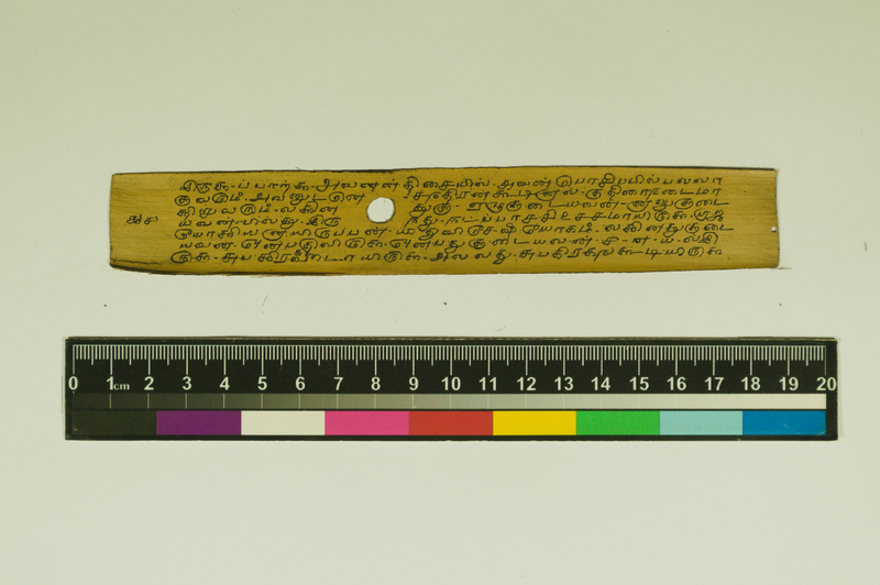 SPS_IFP_PDY_COLL_2_RE18679_0475