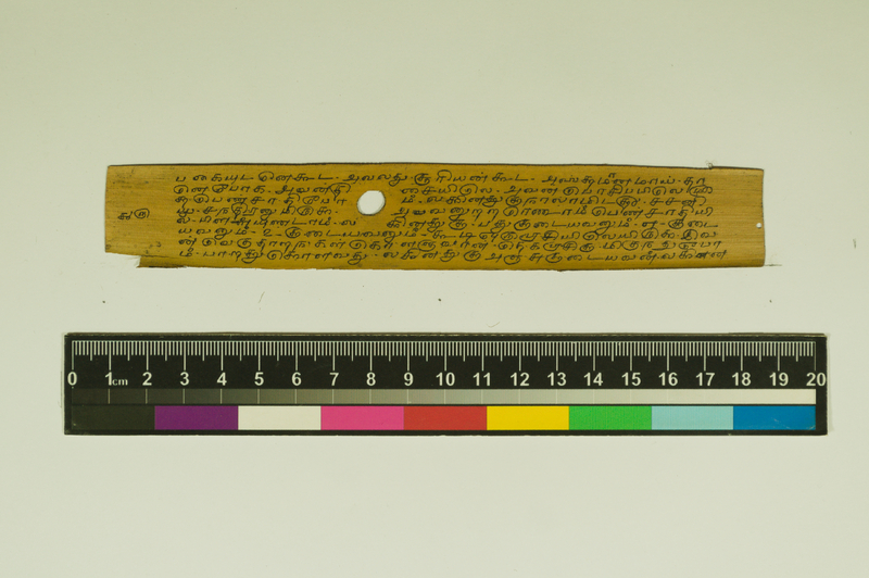 SPS_IFP_PDY_COLL_2_RE18679_0477