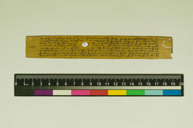 SPS_IFP_PDY_COLL_2_RE18679_0493