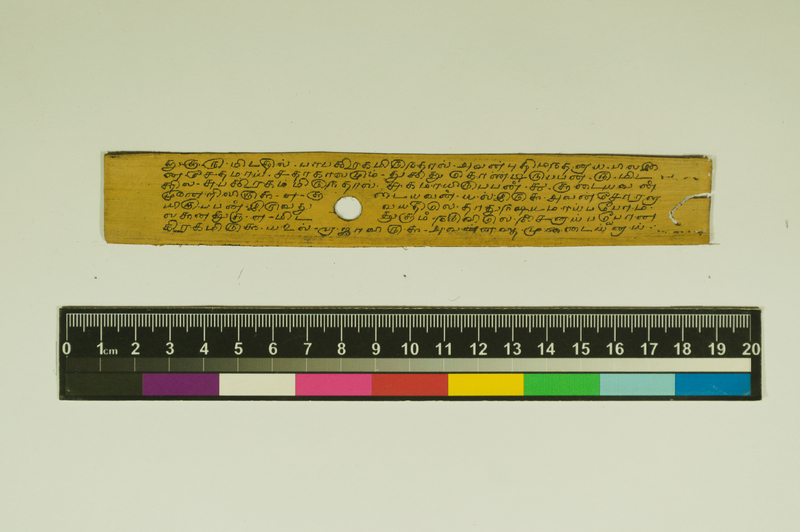 SPS_IFP_PDY_COLL_2_RE18679_0496