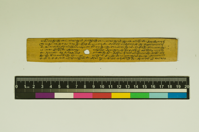 SPS_IFP_PDY_COLL_2_RE18679_0504