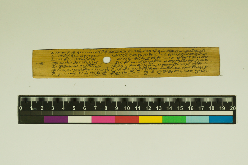 SPS_IFP_PDY_COLL_2_RE18679_0505