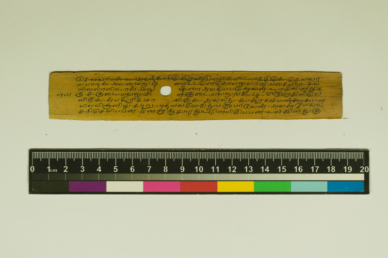 SPS_IFP_PDY_COLL_2_RE18679_0507