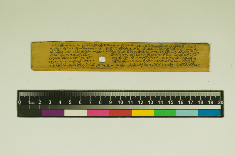 SPS_IFP_PDY_COLL_2_RE18679_0508