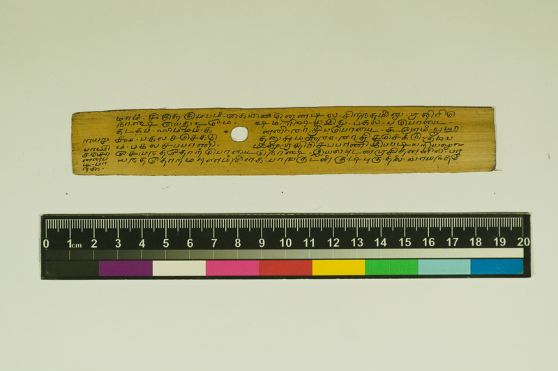 SPS_IFP_PDY_COLL_2_RE18679_0515