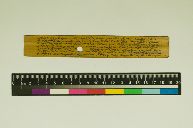 SPS_IFP_PDY_COLL_2_RE18679_0556