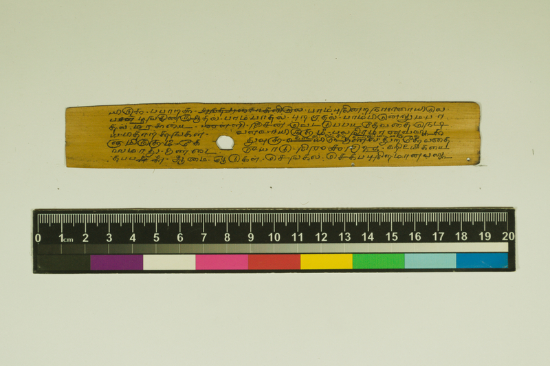 SPS_IFP_PDY_COLL_2_RE18679_0558