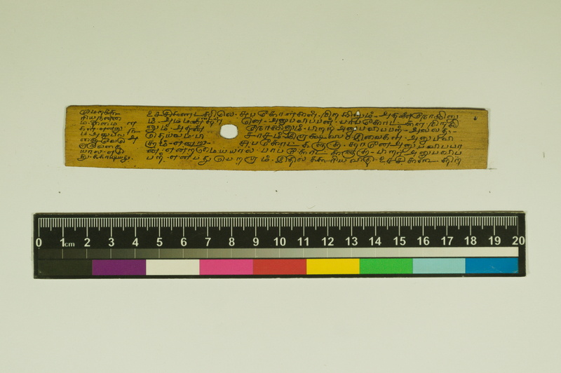 SPS_IFP_PDY_COLL_2_RE18679_0563