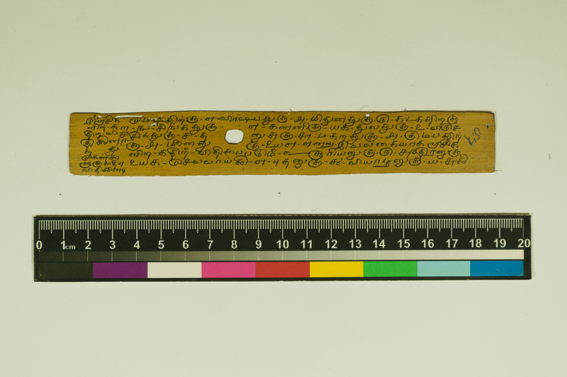 SPS_IFP_PDY_COLL_2_RE18679_0573