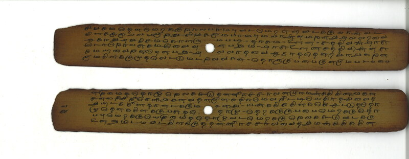 MYG_TLU_TNJ_2101_B02724_P_020