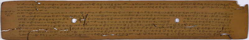 SVS_GOML_CHN_TD_0781_D_2005_0226