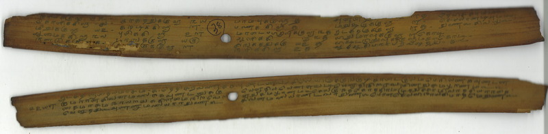 ECV_TLU_TNJ_1795_B_02307_026