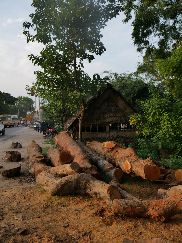 TVL_PAN_SHMP_0001_094