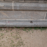 MRD_TVN_VLP_1180792